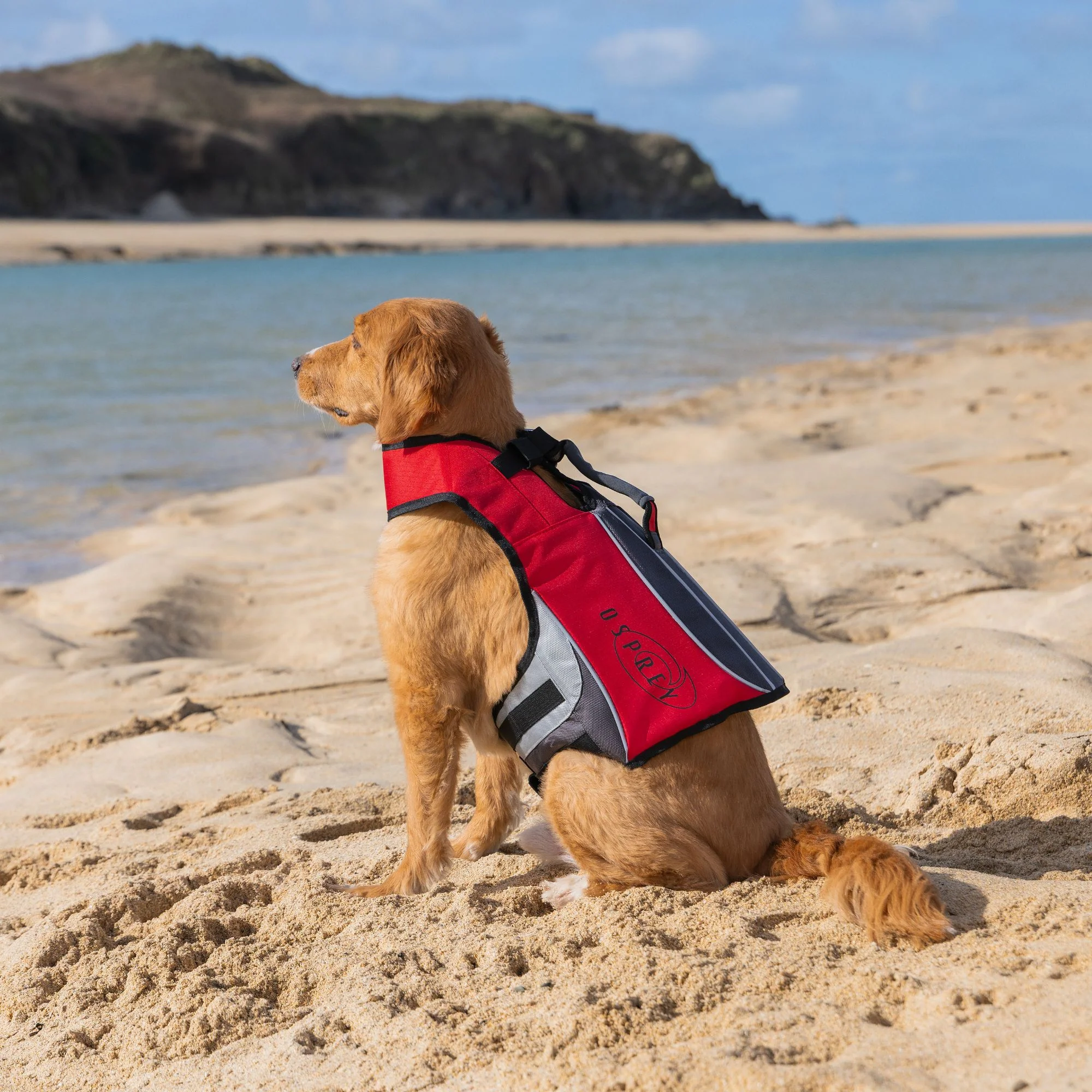 Dog Life Jacket - Red