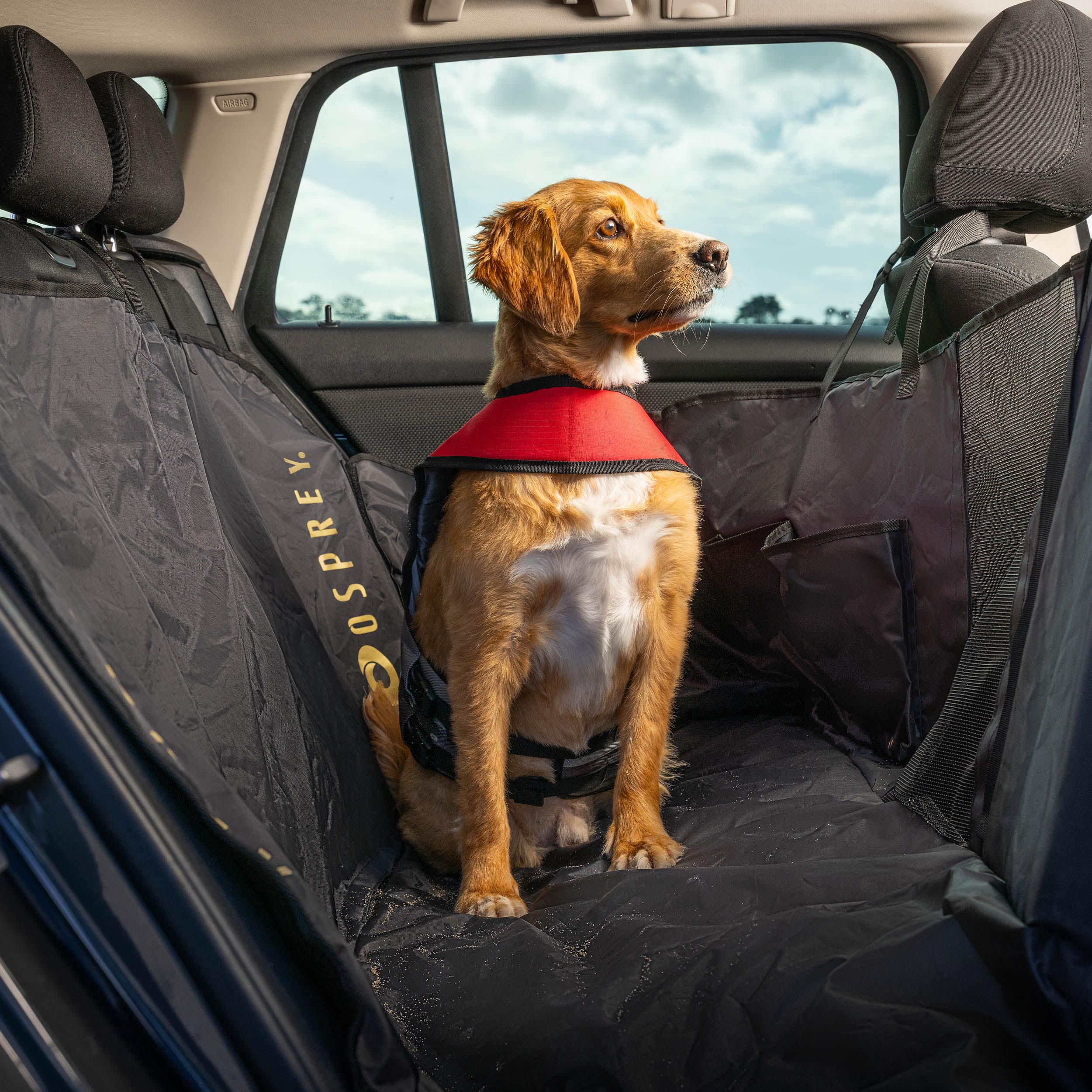 Rear Car Seat Cover - Image 3